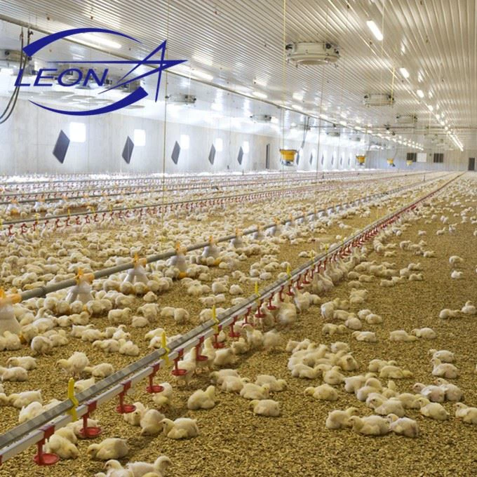 floor system5