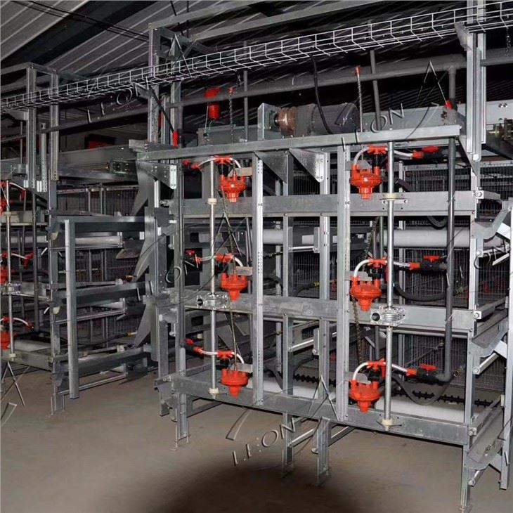 High-quality Automatic Broiler Cage System