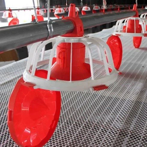 Leon Automatic Broiler Pan Feeding System Leon Automatic Broiler Pan Feeding System
