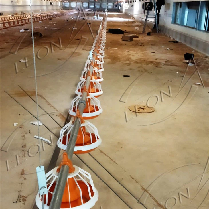 Automatic Poultry Feeder for Broiler Chicken Farm