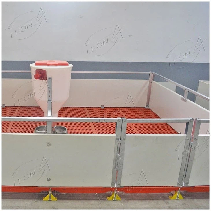 Dry And Wet Feeder For Pigs