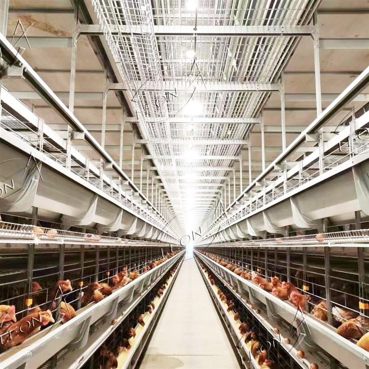H Type Poultry Cages For Layer Chickens