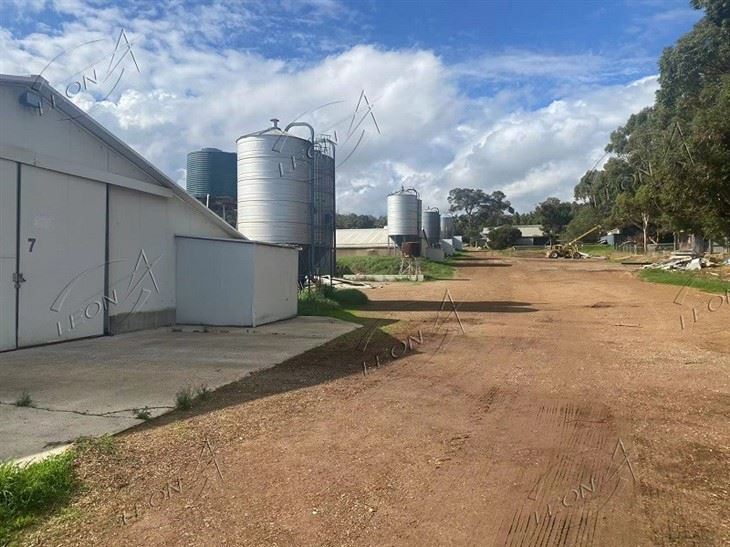 Feed Silo For Poultry Farming Feed Silo For Poultry Farming