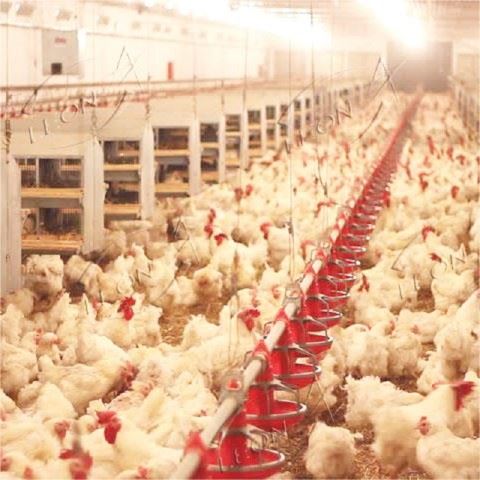 Efficient Raising System For Breeder price